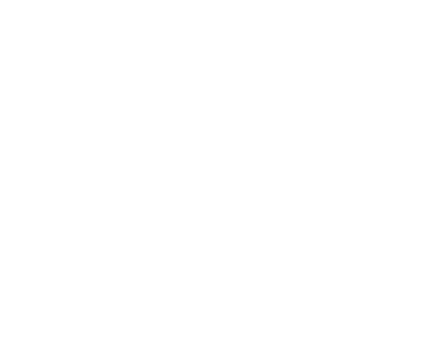 Development and Automation